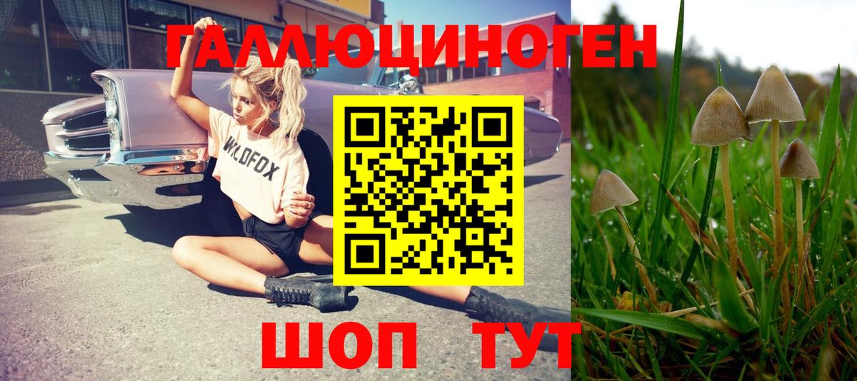 Галлюциногенные грибы прущие грибы  Вход с VPN  купить наркоту  Артём 