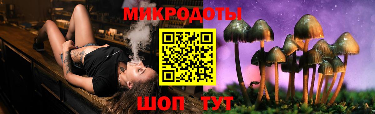 Галлюциногенные грибы Psilocybine cubensis Артём